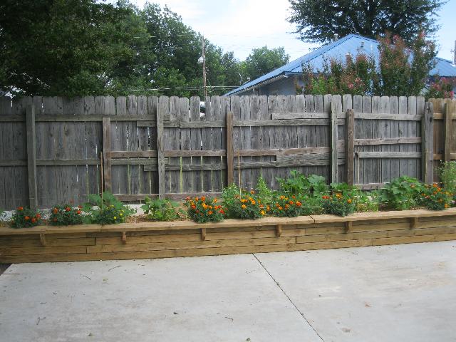 Clinic Garden