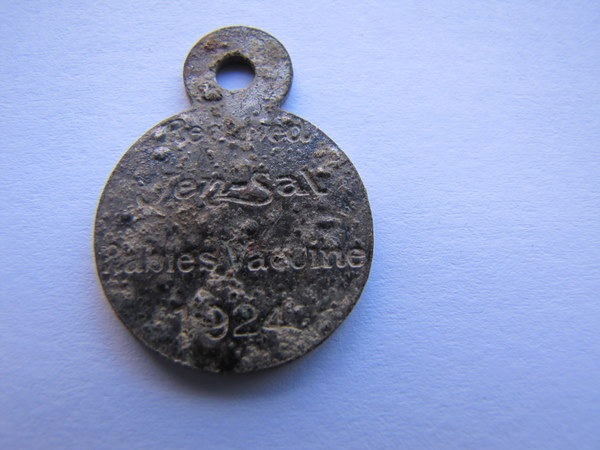 Rabies Tag 1924