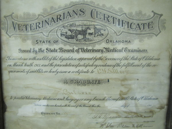 Veterinary Certificate