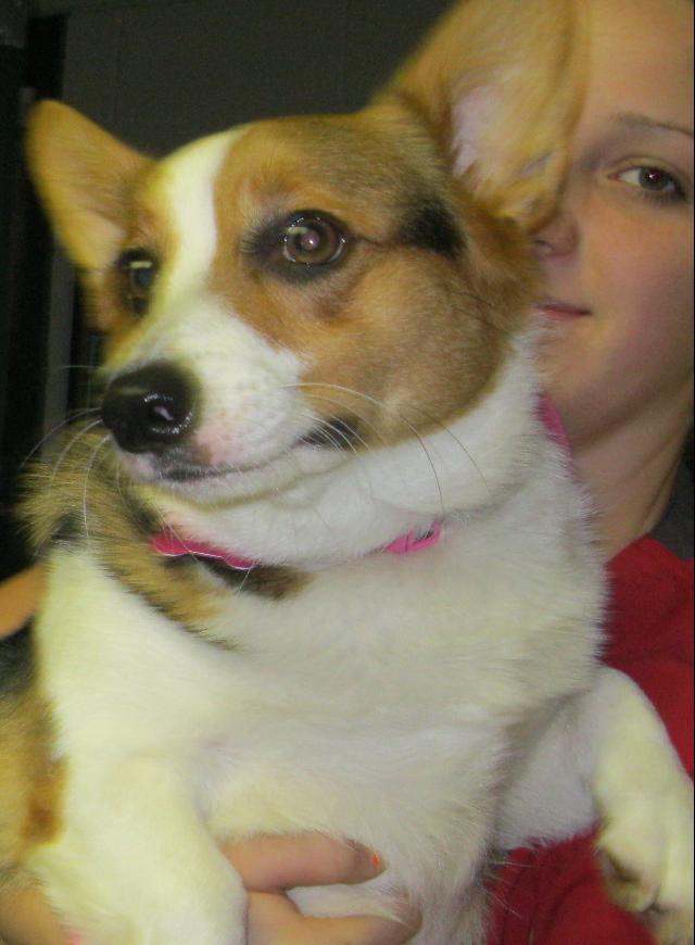 Addie Mae Brannick